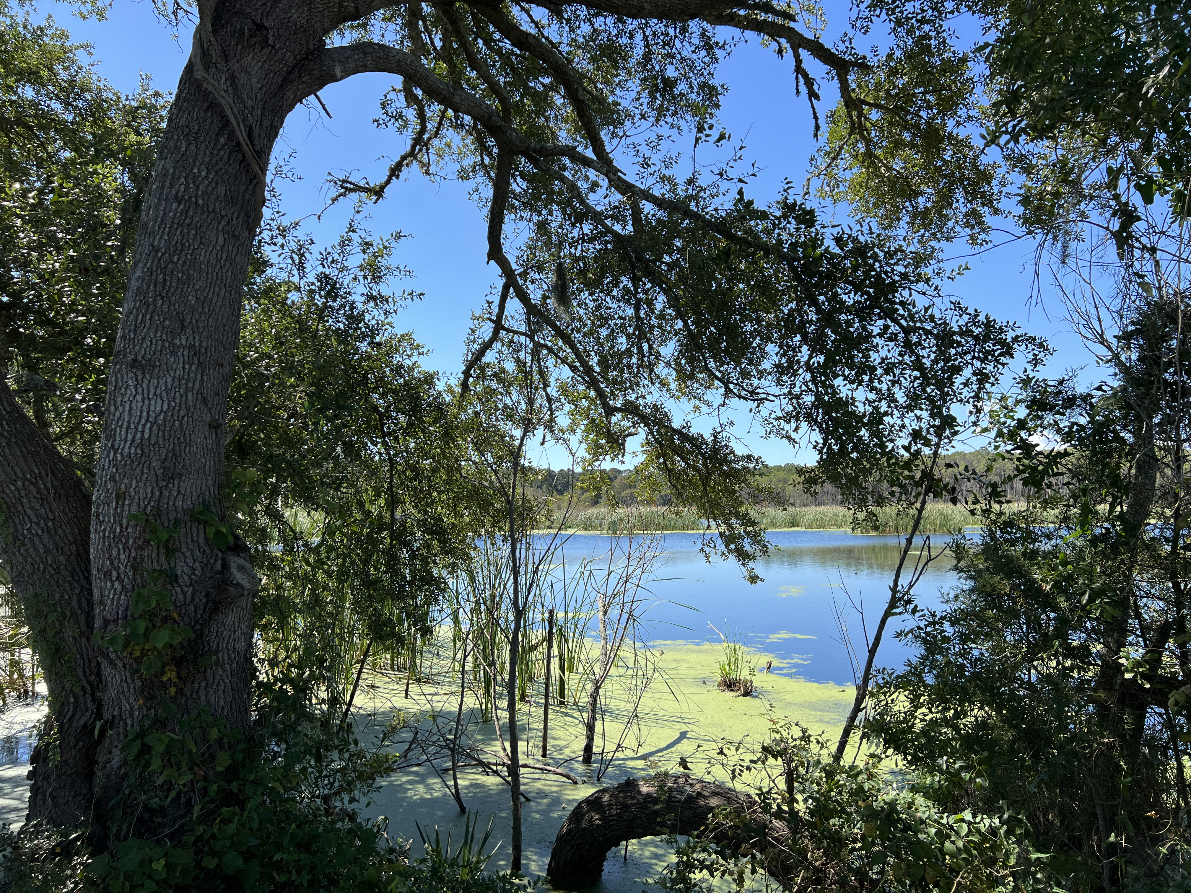 ./2024/10 - Myrtle Beach/IMG_2885.jpg